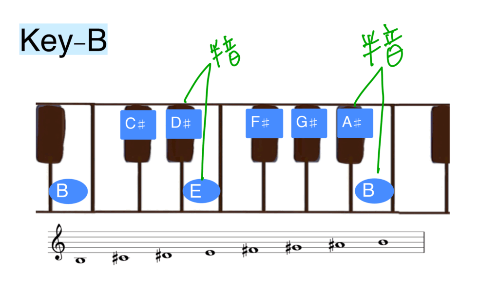 Bメジャースケール、ロ長調の音階の鍵盤図と楽譜